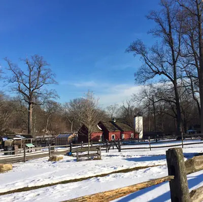 Heckscher Farm at Stamford Museum & Nature Center