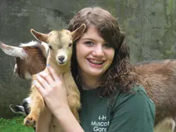 A girl holds a baby goat at the Yorktown Grange Fair; girl holding baby cow