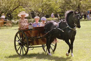 Horse & Carriage Day at Boscobel Gardens