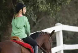 Greenlawn Equestrian Center, horseback riding lessons in Greenlawn, NY, Long Island