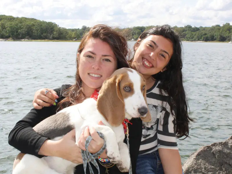 Hounds on the Sound