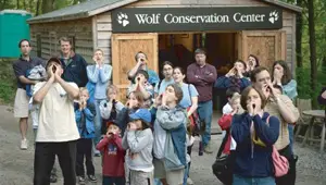 Wolf Conservation Center, Westchester County