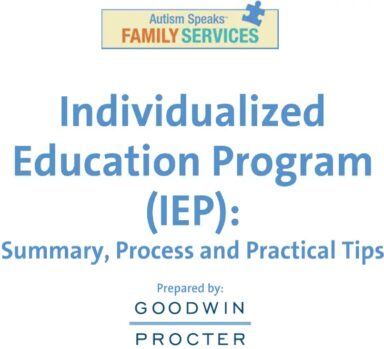 IEP-Guide