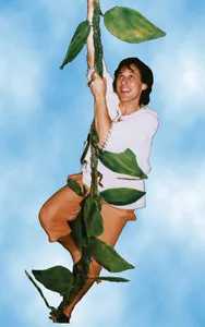 Jack-and-the-Beanstalk