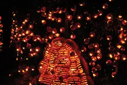 The Great Jack O Lantern Blaze; jack-o-lantern beehive