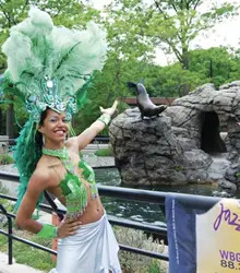 Jazz: Brooklyn's Beat; Brooklyn jazz festival; jazz at the Prospect Park Zoo