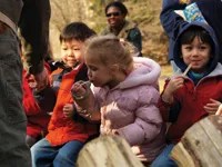 maple sugaring