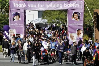 march for babies westchester