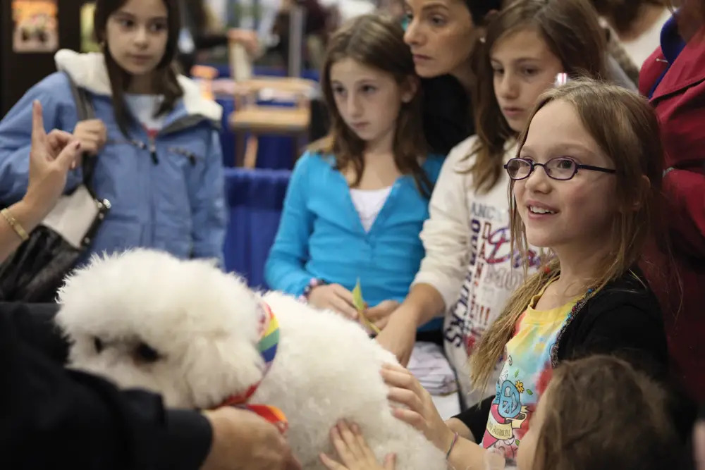 AKC Meet the Breeds NYC