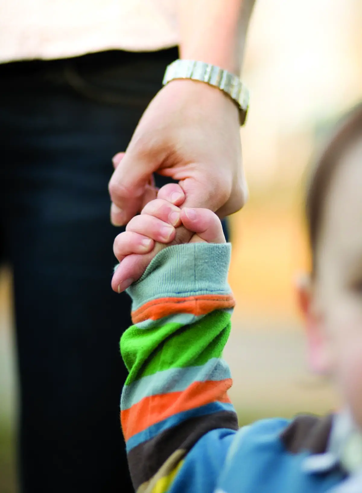 Close-up of toddler holding father's hand