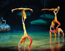 Cirque du Soleil's Ovo