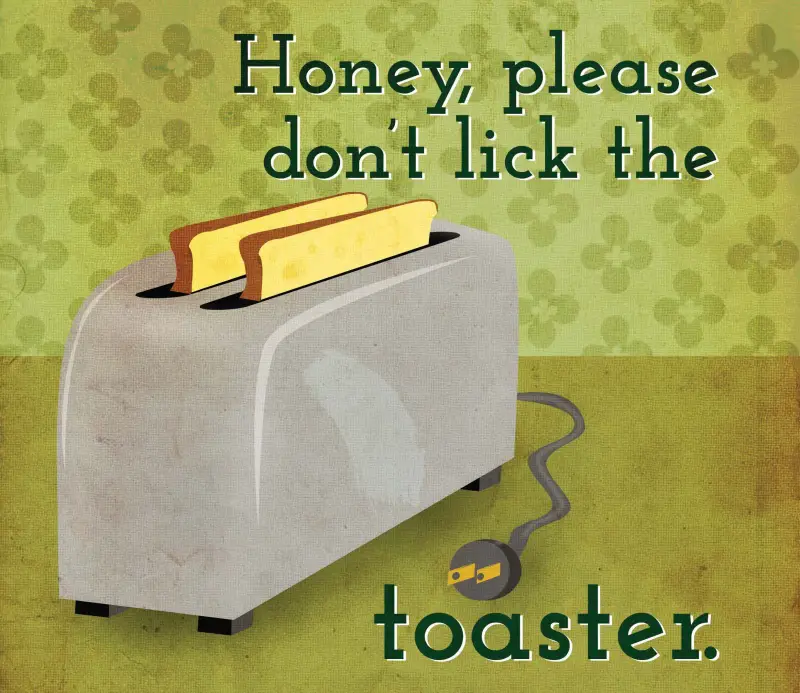 Honey, Please Don't Lick the Toaster