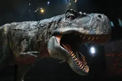 T-Rex; Walking with Dinosaurs: The Arena Spectacular at Madison Square Garden