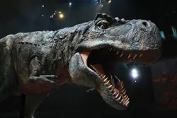 Tyrannosaurus Rex roars in a scene from 