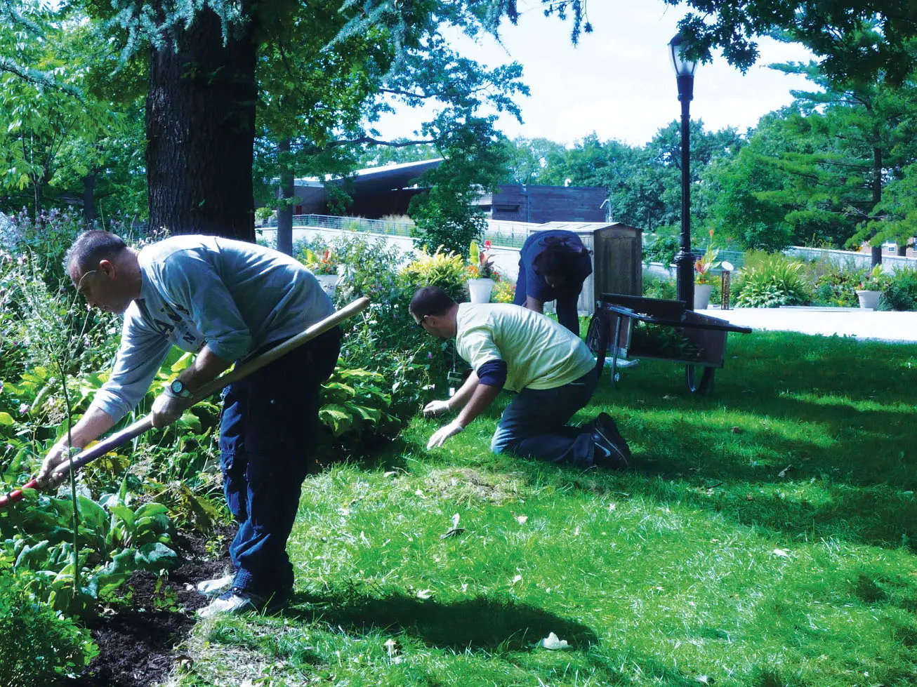 volunteer day at queens botanical garden