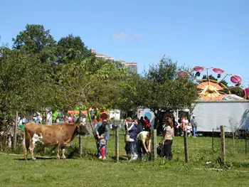 queens county fair; queens county farm museum