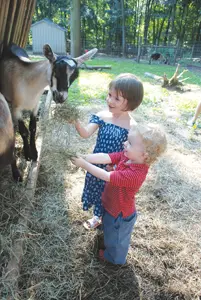 Rainbeau Ridge farm; kids on an animal farm; young children petting goats