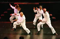 Step Afrika, Westchester Community College performance