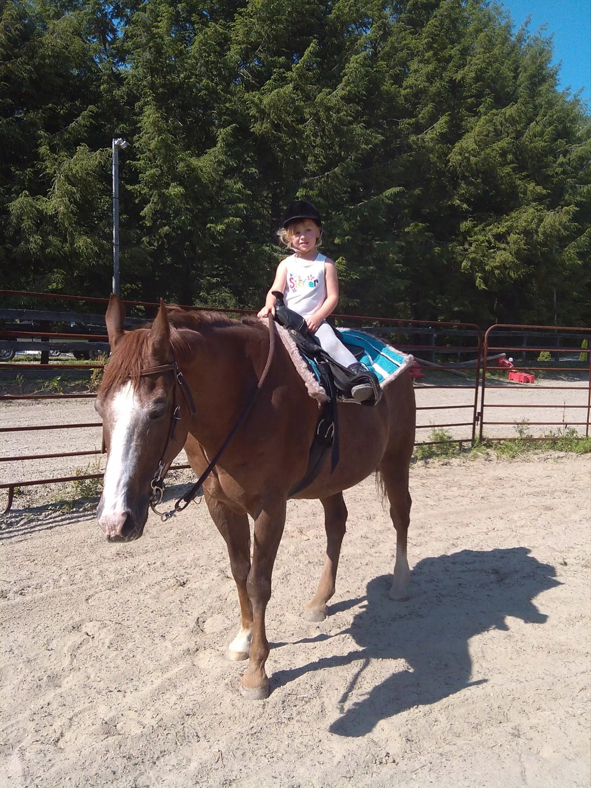 A 3-year-old rides a rescued horse at Runabout Farm.