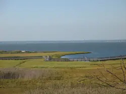 Watch Hill Salt Marsh, Fire Island, Long Island, Patchogue, NY