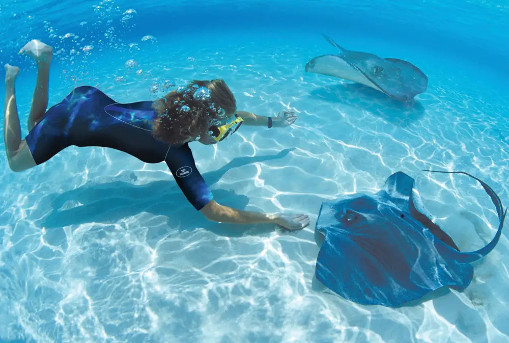 snorkeling with stingrays