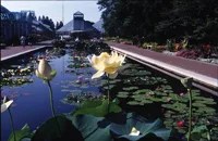 Lily Pool Terrace at Brooklyn Botanic Garden. Photo by Helena Fierlinger.