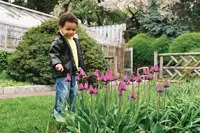 discovery walk; wave hill; child with flowers; tulips