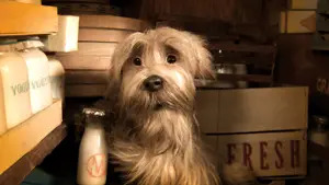 Higglety Pigglety Pop!; Spike Jonze short film; Jennie the Sealyham Terrier; There Must Be More to Life film