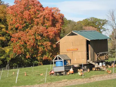 Stone Barns Center for Food and Agriculture