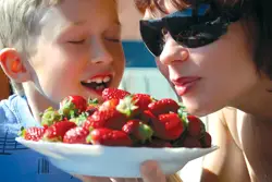 Mattituck Lions Club's Annual Strawberry Festival; Mattituck, Long Island; mother and son eating strawberries; fresh strawberries
