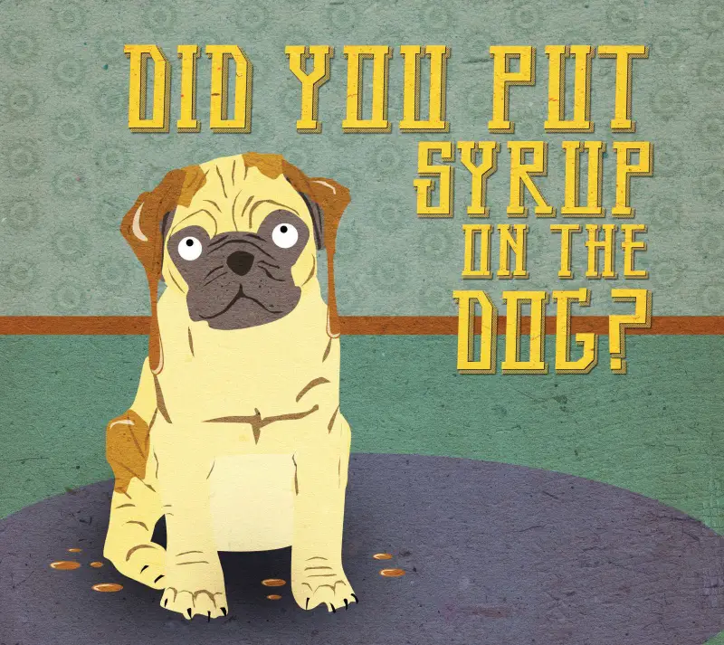 Did You Put Syrup on the Dog?