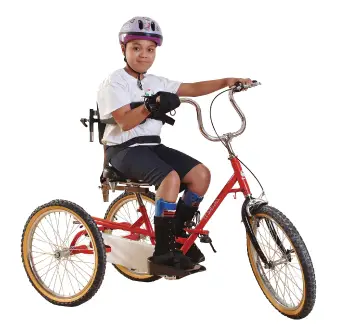 triaid tricycle