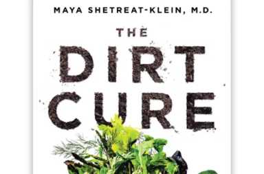 The_Dirt_Cure_artwork-2