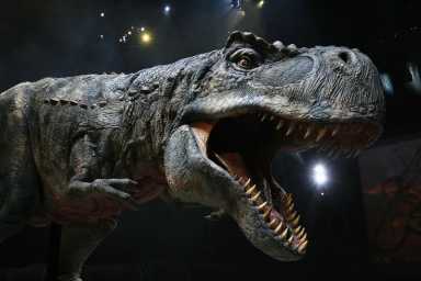 Walking_Rex