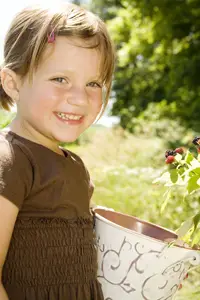 Where to Pick Your Own Berries in NY, NJ, and CT; young girl picking raspberries