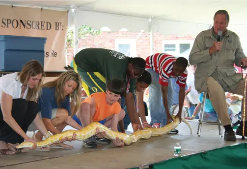 white boa constrictor