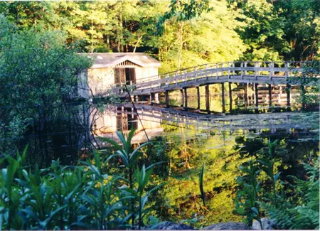 Wildflower Island, Teatown Lake Reservation, Ossining, NY