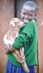 girl holding a goat; World Vision gift catalog goat gift