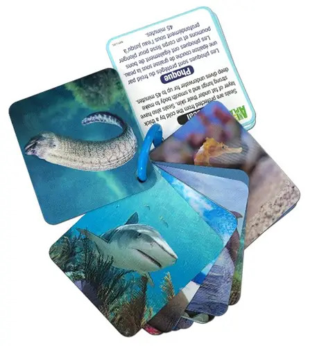 animal planet 3-d flash cards