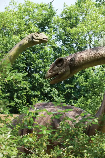 apatosaurus