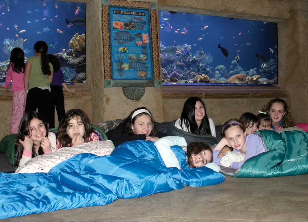 sleepover at maritime aquarium
