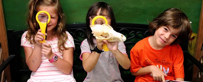 children observing animal skulls