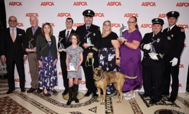 2022 ASPCA Humane Awards Luncheon