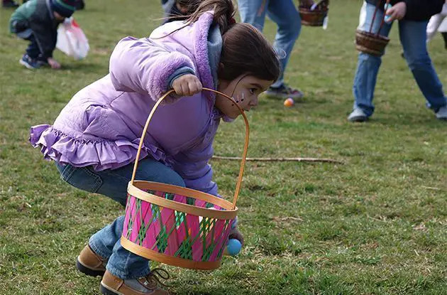 barnyard egg hunt