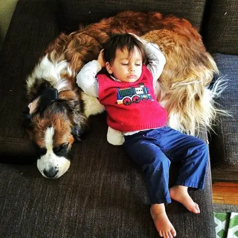 child and dog