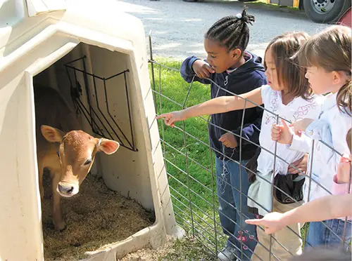 bellevale farms