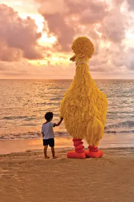 Big Bird and little boy on the beach at sunset