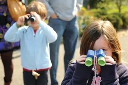 kids bird watching