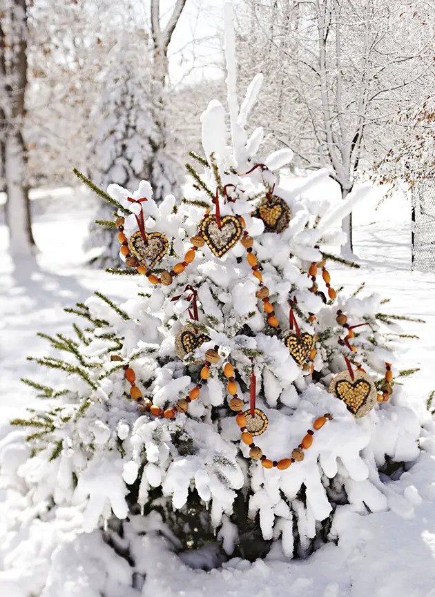 bird seed ornaments