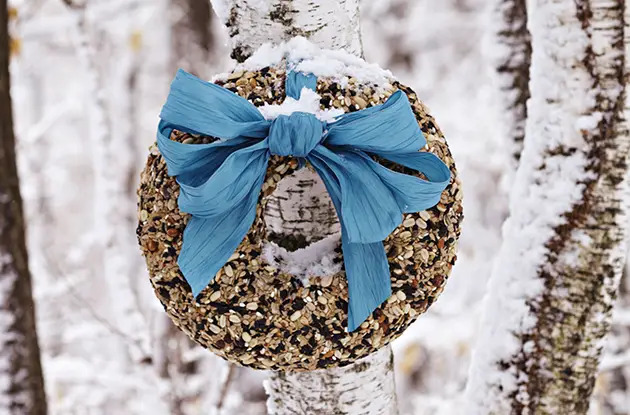 bird seed wreath